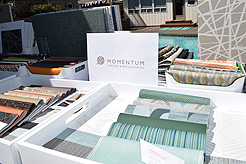 MOMENTUM - MULTI-VENDOR